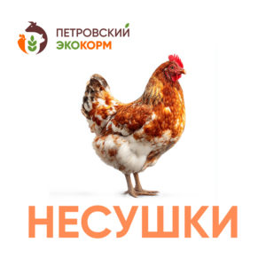 (ПК-1) Полнорационный комбикорм для кур-несушек (россыпь)