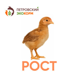 (ПК-3) Полнорационный комбикорм для кур (8-13 нед.)