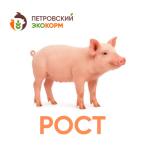 (СК-4) Комбикорм для свиней (2-4 мес.)