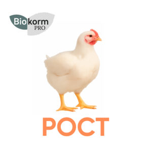 Biokorm Полнорационный комбикорм для бройлеров (4-5 нед.)
