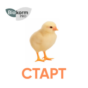 Biokorm Полнорационный комбикорм для бройлеров (1-3 нед.)