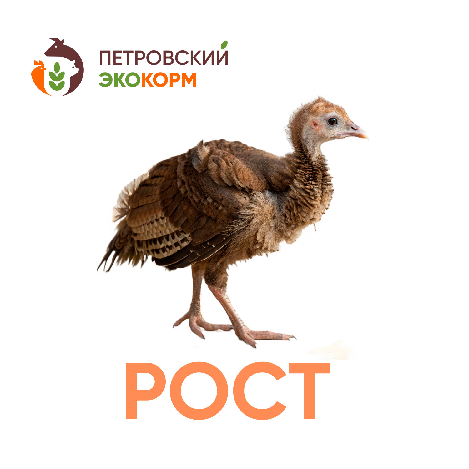 (ПК 11/2) Полнорационный комбикорм для индеек (9-17 нед.)