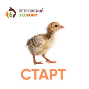 (ПК 11/1) Полнорационный комбикорм для индеек (1-8 нед.)