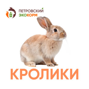Комбикорм для взрослых кроликов (П-91)