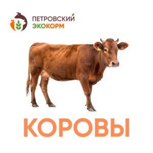 (КК 60-1) Комбикорм для коров