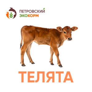 (КК 62-1) Комбикорм для телят (свыше 4-12 мес.)