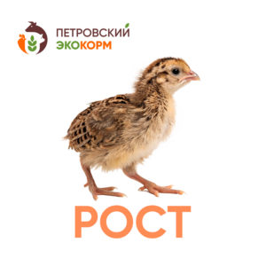 (ПЕ-2) полнорационный комбикорм для перепелов (4-5 нед.)