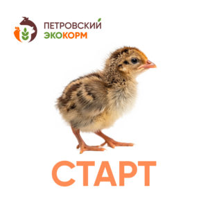 (ПЕ-1) Полнорационный комбикорм для перепелов (1-3 нед.)