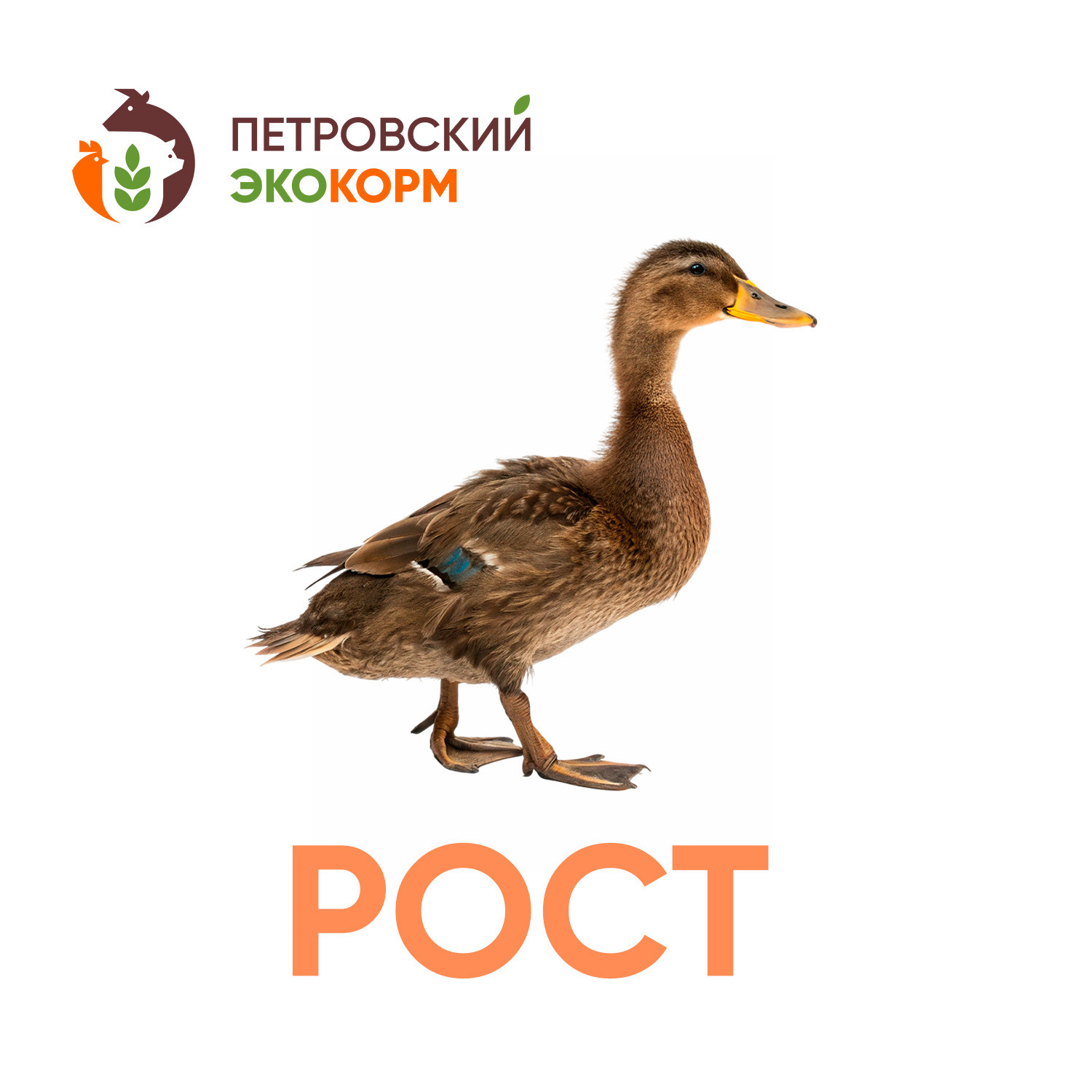 (ПК 2-2) Полнорационный комбикорм для уток (4-7 нед.)