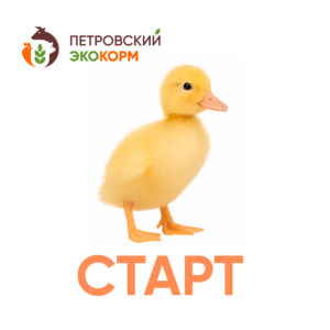 (ПК 2-1) Полнорационный комбикорм для уток (1-3 нед.)